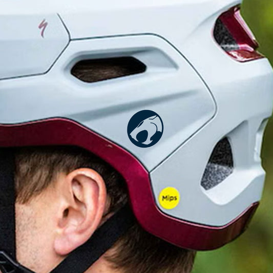 ThunderCats Detail Transfer