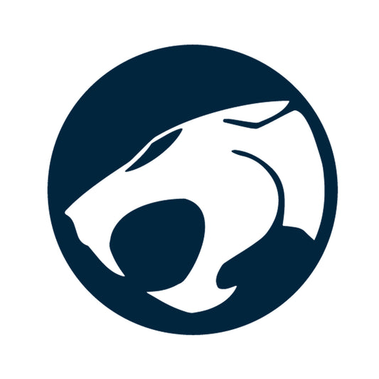 ThunderCats Detail Transfer