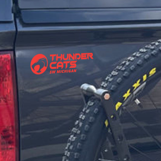 ThunderCats Transfer Decal