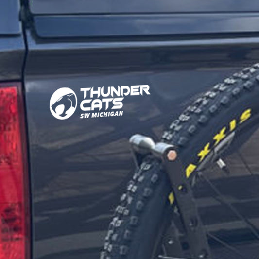 ThunderCats Transfer Decal