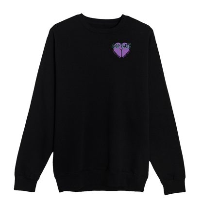 Lady Parts MTB Team crew pullover