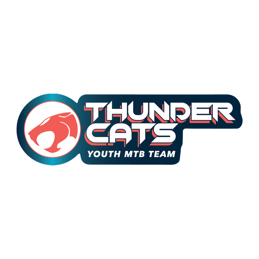 ThunderCats die-cut vinyl sticker